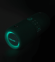 Load image into Gallery viewer, PEVCM0000203_04