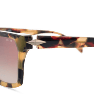 画像をギャラリービューアに読み込む, SPLM01 570AGG_05