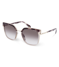 画像をギャラリービューアに読み込む, SPLG24 55300K_02