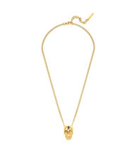 Load image into Gallery viewer, PEAGN0000904_01
