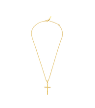 Load image into Gallery viewer, PEAGN0010902_01
