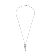 画像をギャラリービューアに読み込む, PEAGN0036101_01
