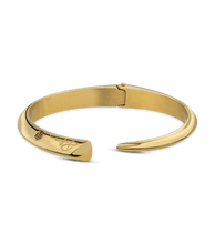 画像をギャラリービューアに読み込む, PEJLB2213102_01
