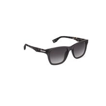 画像をギャラリービューアに読み込む, SPLU68 55819M_08
